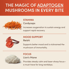 Chocolate Indulgence Bundle F9