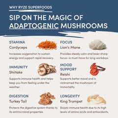 RYZE Nighttime Mushroom Cocoa Starter Bag O3
