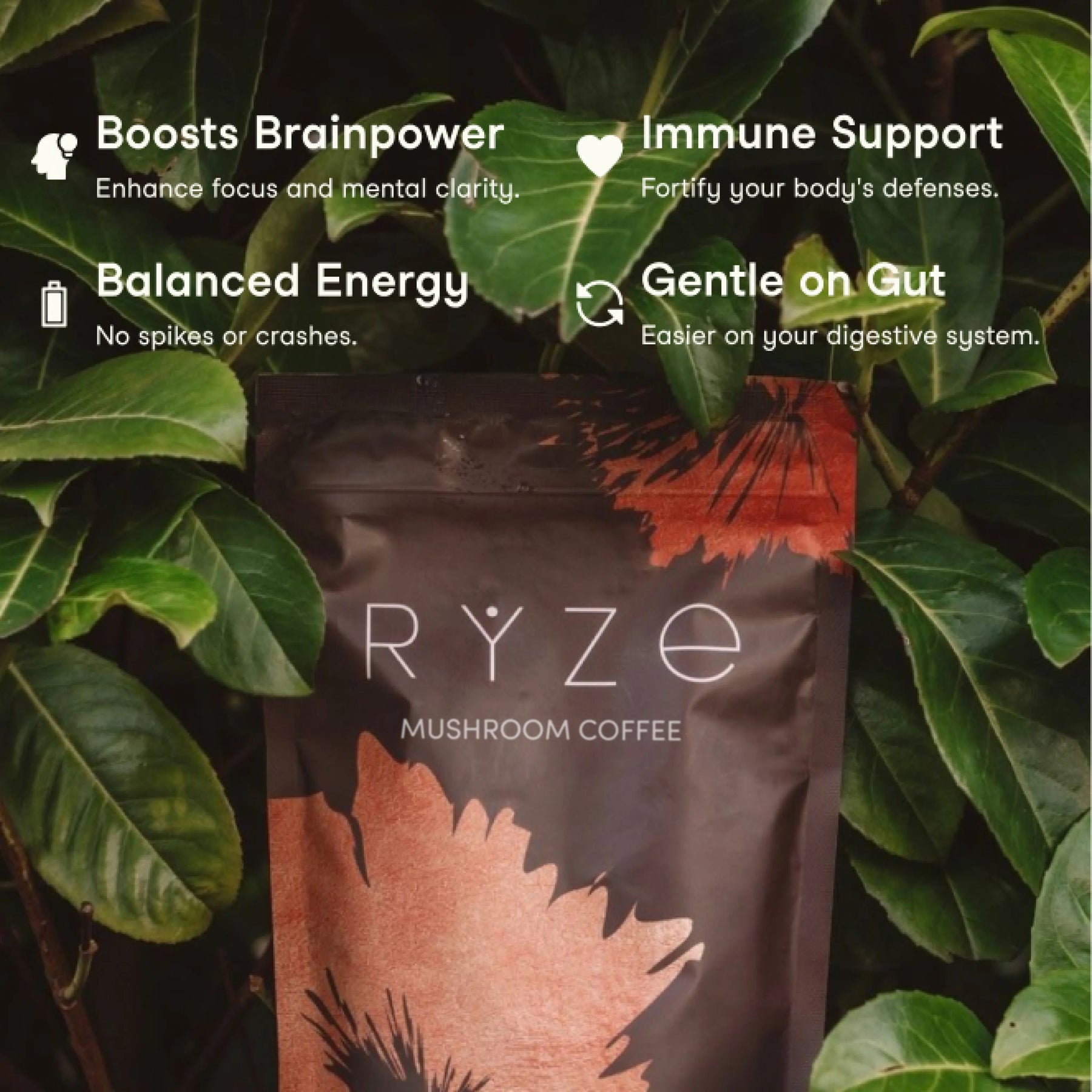 RYZE Mushroom Coffee — Organic Instant Coffee with Cordyceps & Reishi, 30 Servings A4
