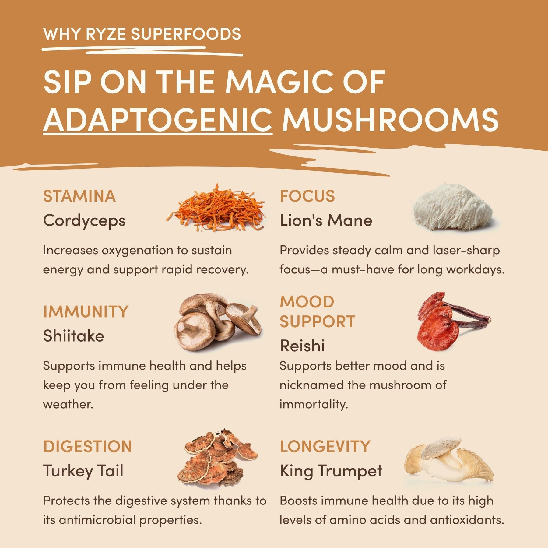 Mushroom Overnight Oats (14 Servings) Q2