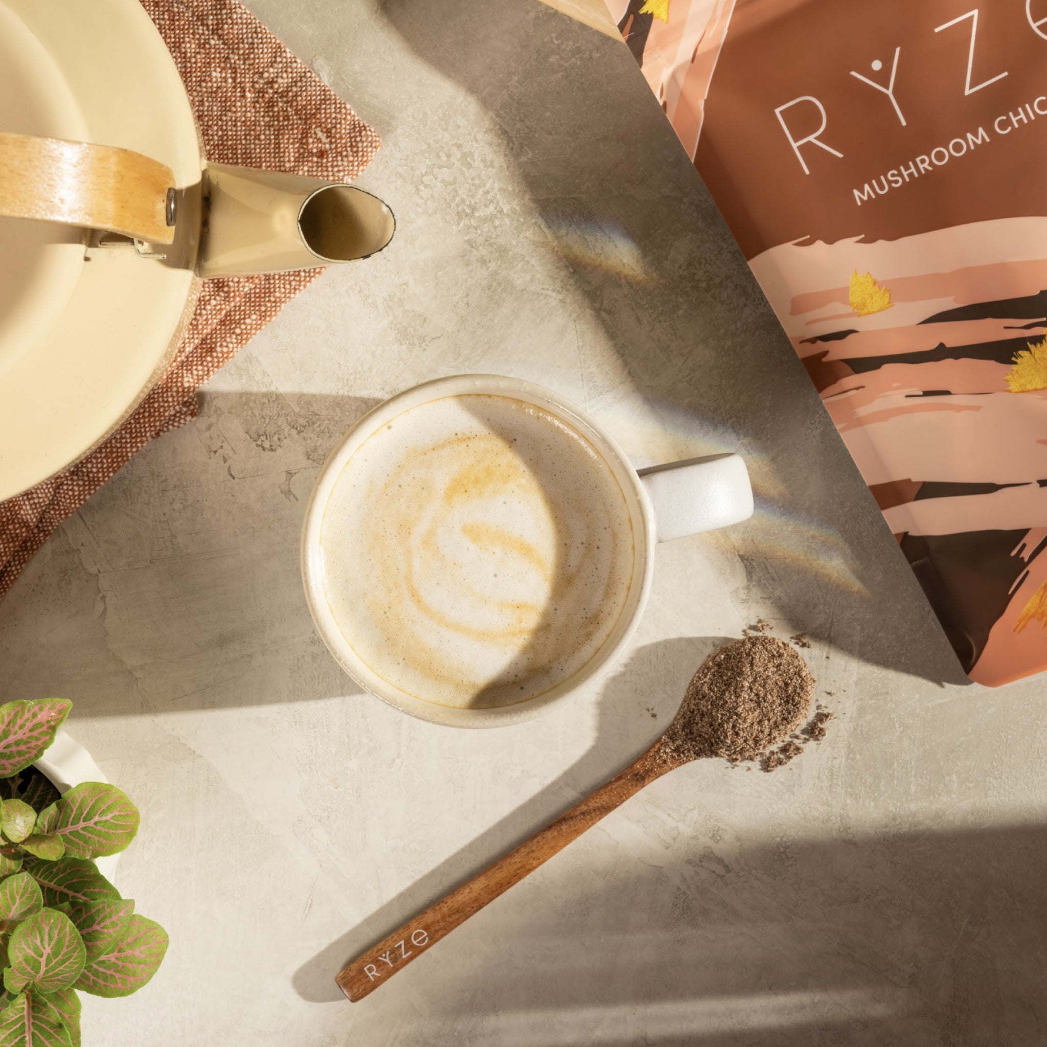 Mushroom Chicory (30 Servings) Z7