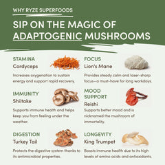 RYZE Mushroom Matcha — Organic Instant Matcha Latte with Lion's Mane & King Trumpet, 30 Servings Q6
