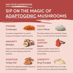 RYZE Mushroom Chai — Organic Instant Chai with Reishi & Organic Black Tea, 20 Servings W1