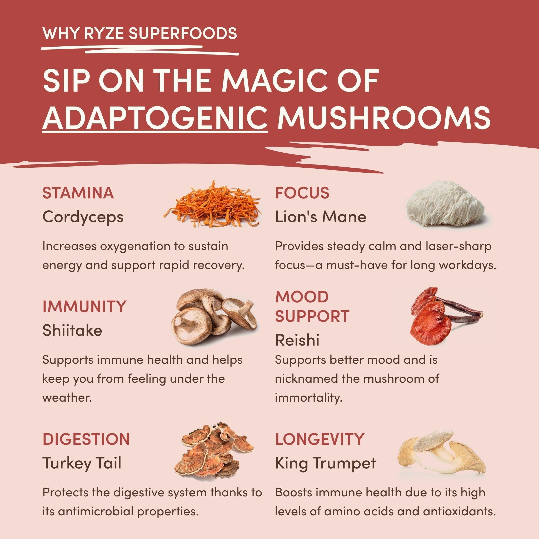 RYZE Mushroom Chai — Organic Instant Chai with Reishi & Organic Black Tea, 20 Servings W1