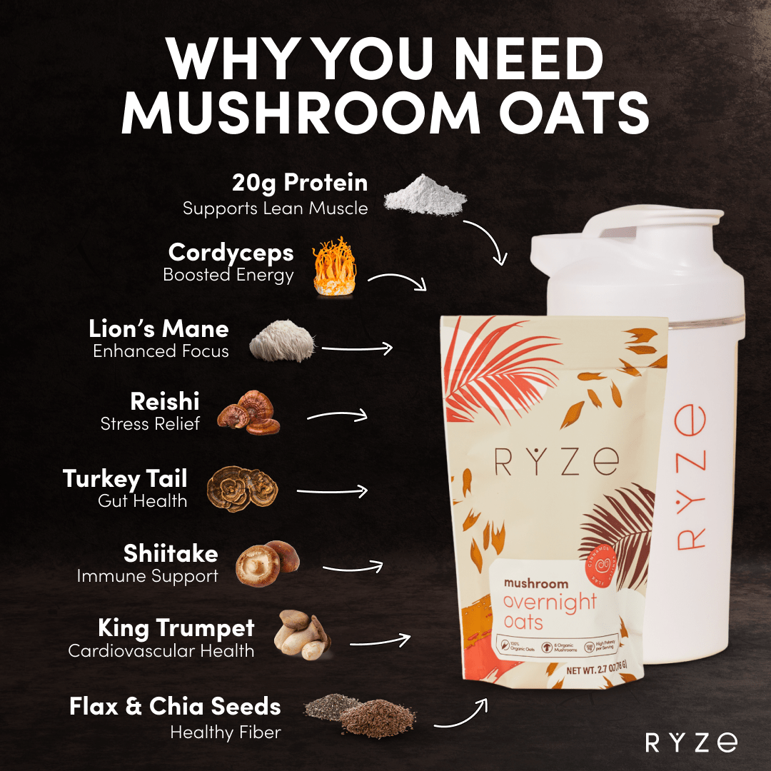Mushroom Overnight Oats Pack (14 Servings) T6