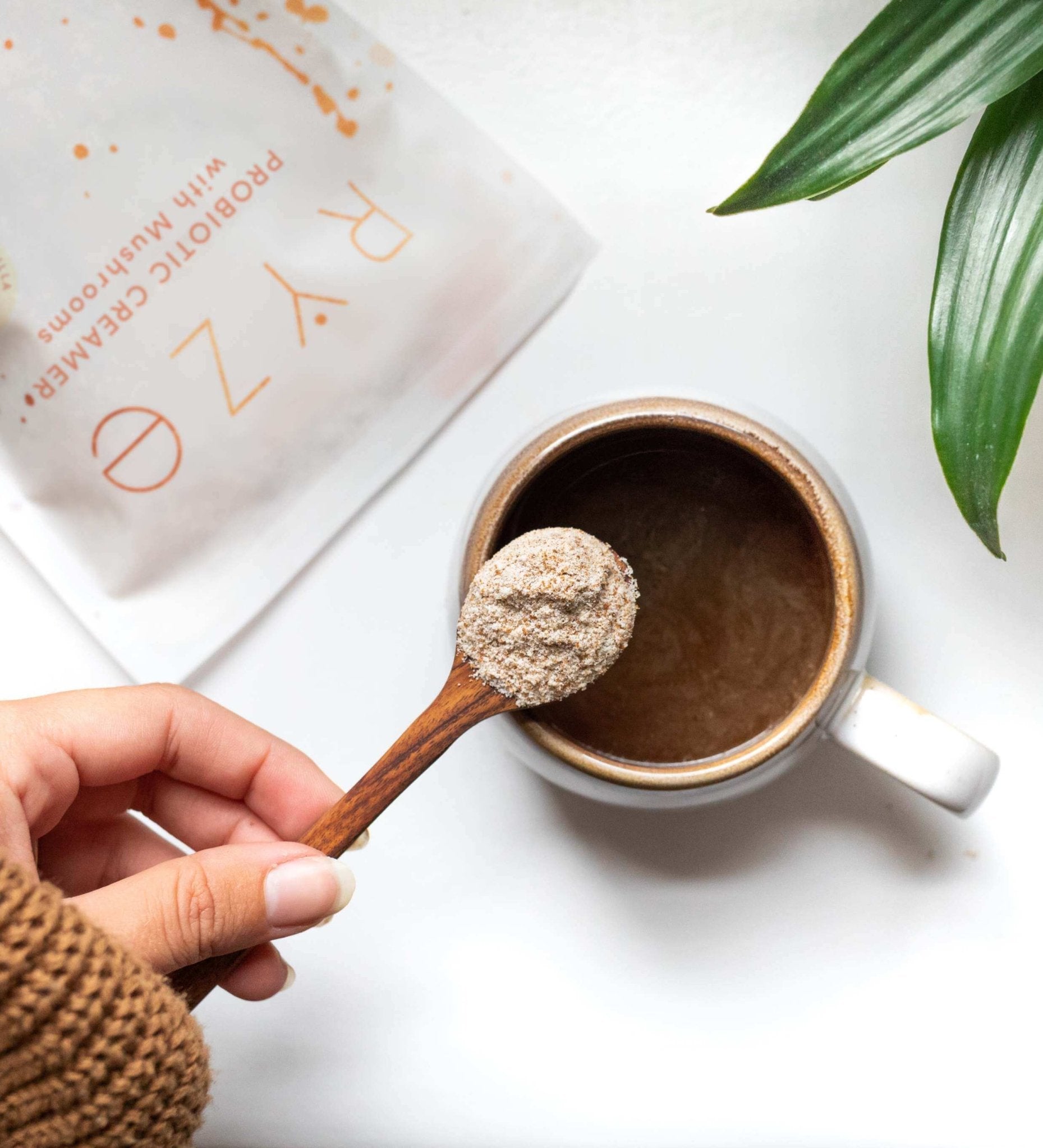 Probiotic Creamer (30 Servings) I3