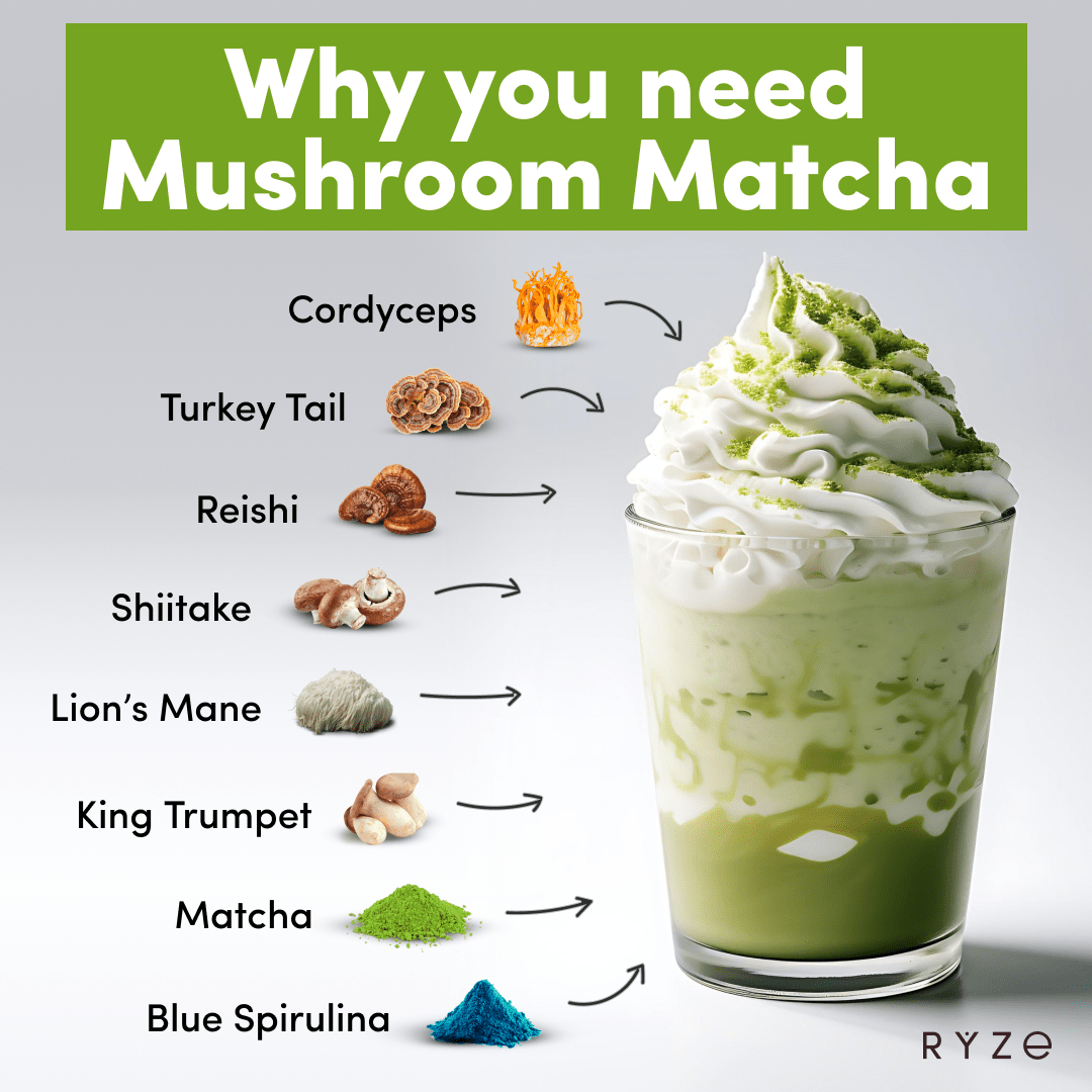 RYZE Organic Mushroom Matcha Starter Kit (60 servings) D5